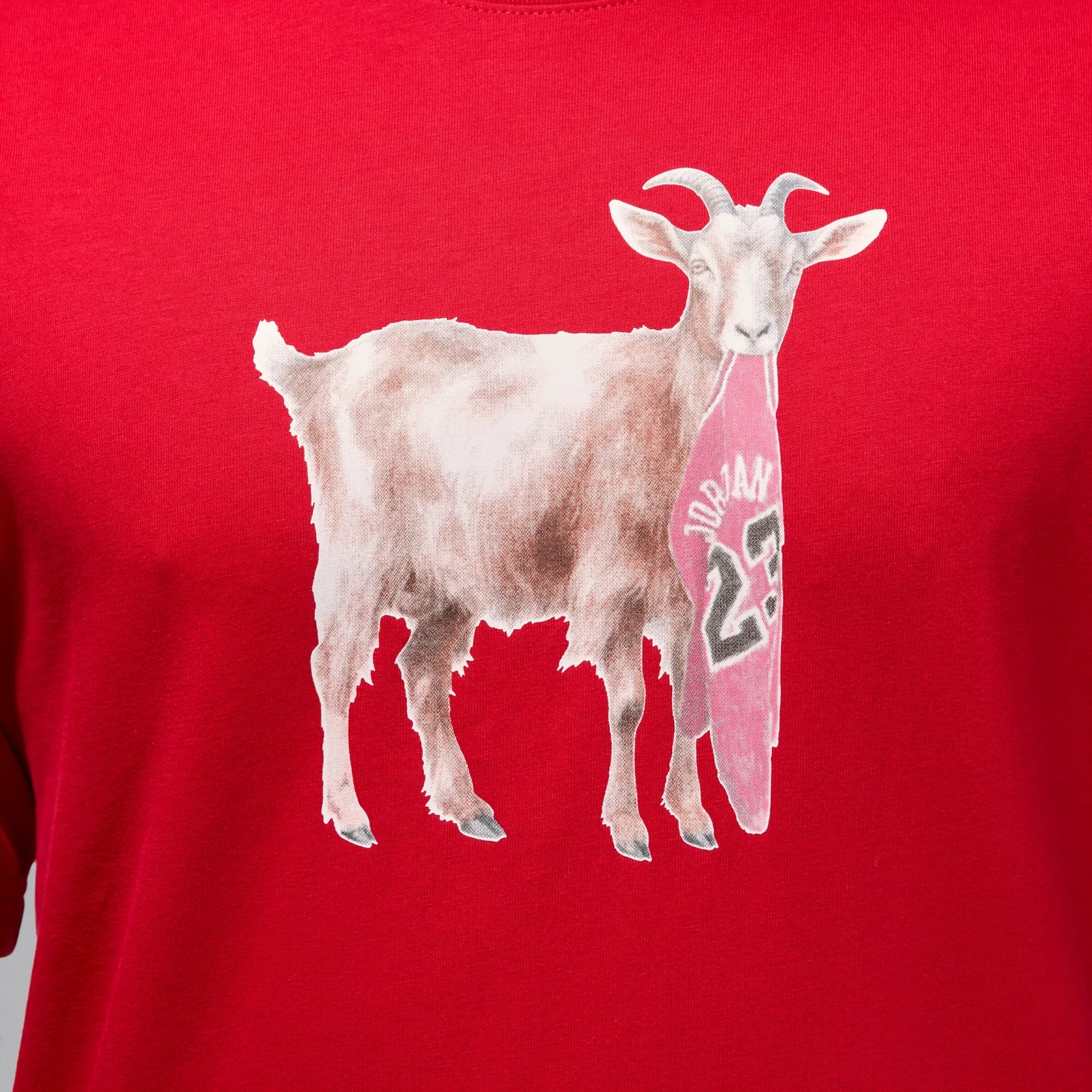 T-shirt Nike Goat Crew