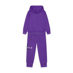 JORDAN SUSTAINBLE  HOODIE SET PURPLE