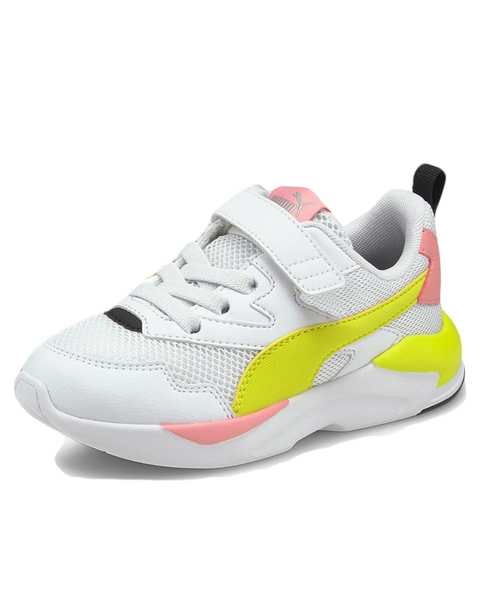 X-Ray Lite Puma Bimba